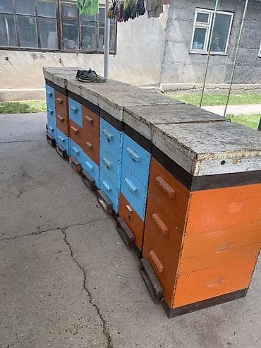деревянные корзины: Деревянный Ящик, Б/у — 1
