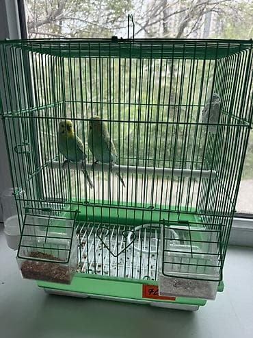 сетка для ловли птиц: Клетка для волнистых попугаев с комплектом аксессуаров. - Материал — 1