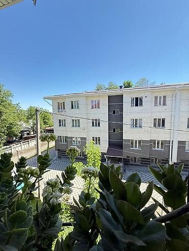 Продажа квартир: 1 комната, 24 м², Индивидуалка, 3 этаж, Евроремонт — 9