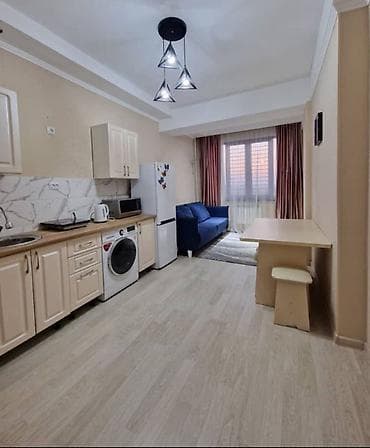 80000: 1 комната, 48 м², Элитка, 8 этаж, Евроремонт — 1