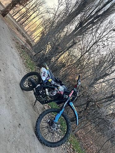 корейский мопед: Куб 300, Воденное охлаждение 172 mm Мотор Размер колёс 21,18 — 1