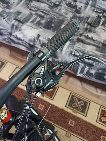 велосипед филипс: Горный велосипед, Сталь, Б/у — 3