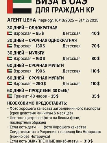 тур в турцию из бишкека цена: Помощь с формлением виз Кыргызстан — E-Visa (для граждан — 3