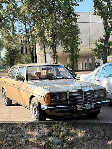 1 g fe: Mercedes-Benz W123: 1981 г., 2.8 л, Механика, Бензин, Седан — 3