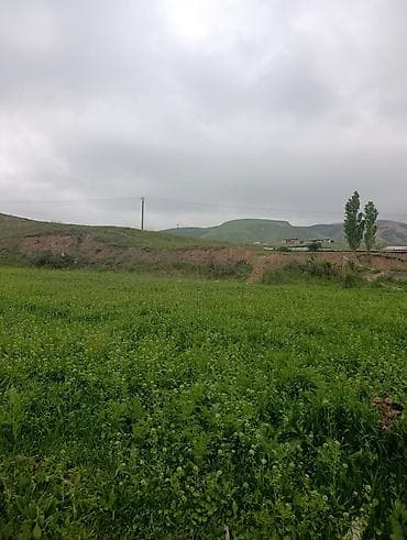 Жер тилкелери: 5 соток, Кызыл китеп — 2