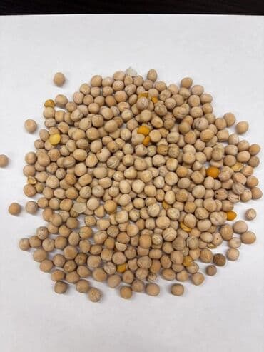 мебел бу бишкек: Горох
35 сом — 1