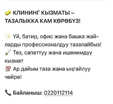 Клининговые услуги: Профессиональная клининговая услуга - Уборка домов, квартир, офисов и — 2