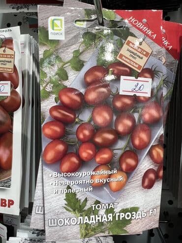 продаю овощи: Уруктар жашылчалардын: Капуста, Сабиз, Калемпирлер, Өзү алып кетүү, Акылуу жеткирүү — 10