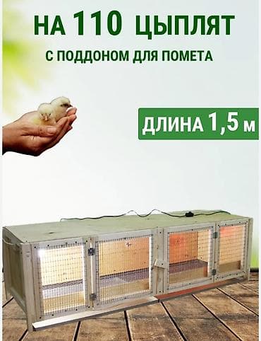 Брудеры для цыплят - Вместимость: варианты на 70 и на 110 цыплят. -