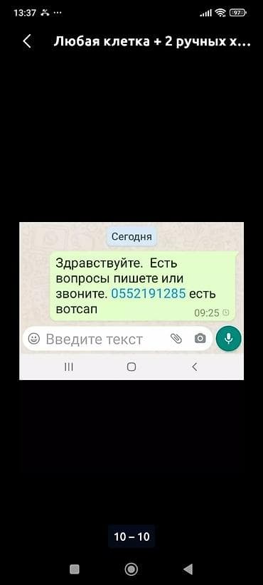 Грызуны: Ручные хомячки Джунгарики по 150 сом. клетки тоже есть в продаже — 7