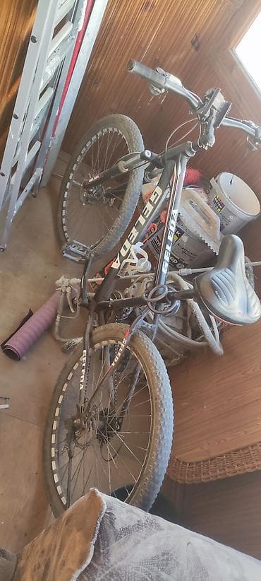 diska 14: Горный велосипед, Geleda, Рама M (156 - 178 см), Сталь, Б/у — 1