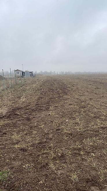 Жер тилкелери: 1600 соток, Айыл чарба үчүн — 2