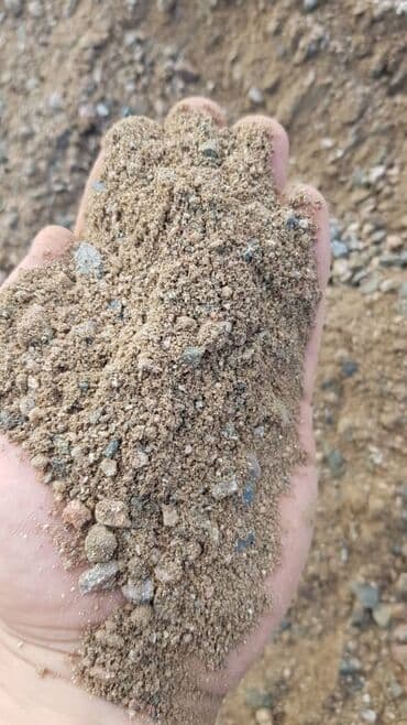 экспорцет семена: Отсев отсев отсев отсев отсев отсев отсев отсев отсев отсев отсев — 4