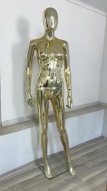 гардеробные вешалки: Манекен Взрослый женский, Материал: Пластик, Новый — 1