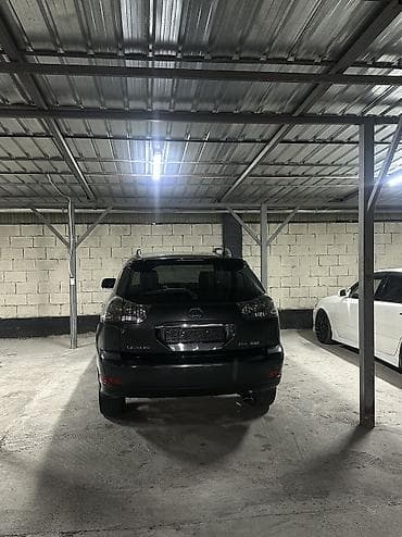 Lexus RX: 2004 г., 3.3 л, Автомат, Газ, Кроссовер — 10