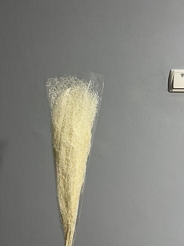 LED гирляндалар: Ассорти для флористики и декора - Живые черенки/веточки шлюмбергеры — 3