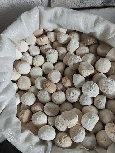 идиш жуганга: Курут сатылат таза,кошулмасы жок экологический.550сом кг — 1