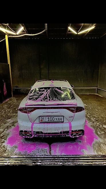 Kia: Kia Stinger: 2017 г., 2 л, Типтроник, Бензин — 3