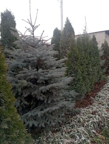 ароматные палочки: Декор для дома и сада — 1