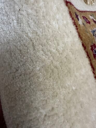 фон для фото: Ковер Б/у, 400, Шерсть, Турция, Безналичная/наличная оплата — 7