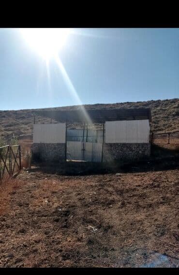 меняю на скот: Продается действующий бизнес кашар вместе с садом для разведения скота — 12