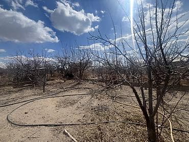 купить вагон дом бу: 4500 соток, Для сельского хозяйства, Договор купли-продажи, Тех паспорт — 7