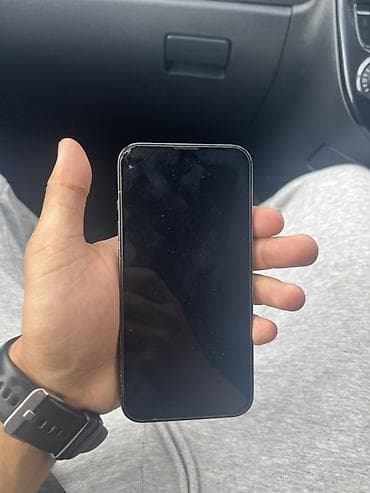 IPhone 13 Pro, Б/у, 256 ГБ, Matte Silver, Чехол, 83 %