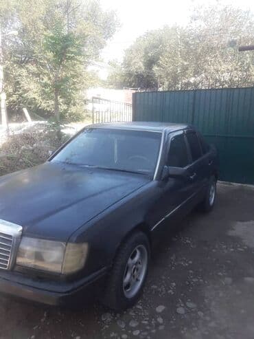 камера лампочка: Компактные люминесцентные лампы (CFL) и наборы посуды 1) — 4