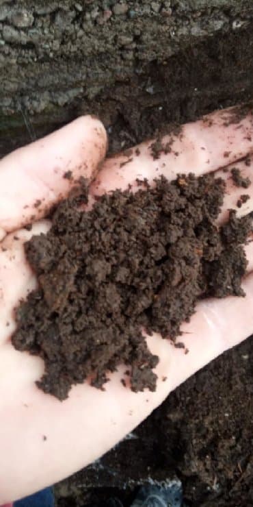 В тоннах, Самовывоз, Бесплатная доставка, Зил