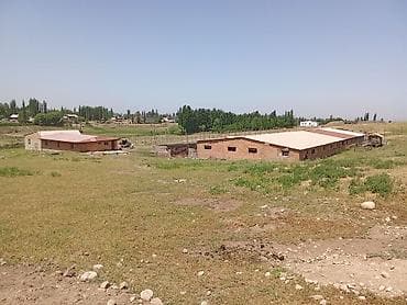 участки в сокулуке: 120 соток, Красная книга, Тех паспорт — 1