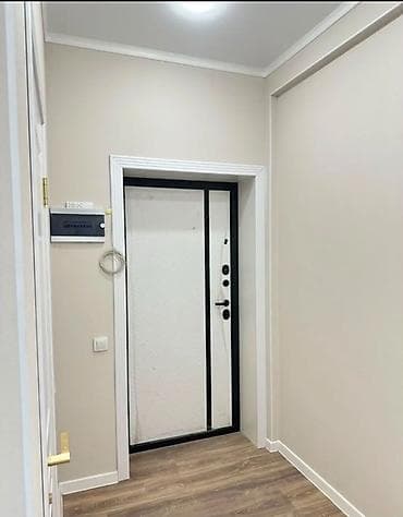 1: 1 комната, 45 м², Пишпек Элитка, 8 этаж, Евроремонт — 3