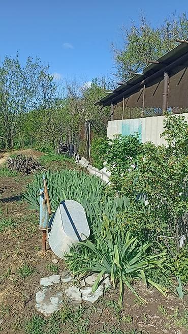 участок село гроздь: Продаётся частный дом с приусадебным участком правильной формы. - — 10