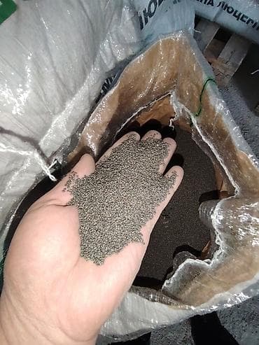 семена клевера: Семена кормовых растений: Люцерна, Самовывоз — 6