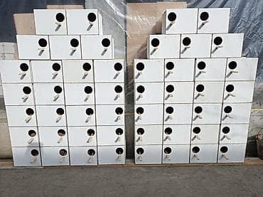 Үй жаныбарлары: Гнезда для птиц и попугаев — 4