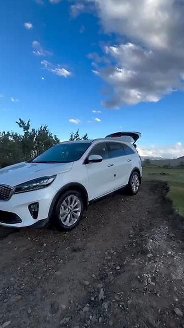2019: Kia Sorento: 2019 г., Кроссовер — 4