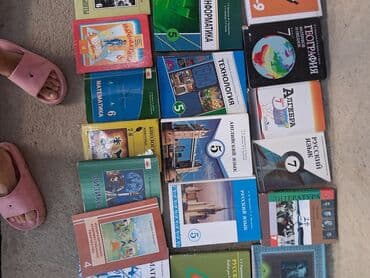 Информатика: Ватсап . Подборка школьных учебников и пособий разных классов и — 12