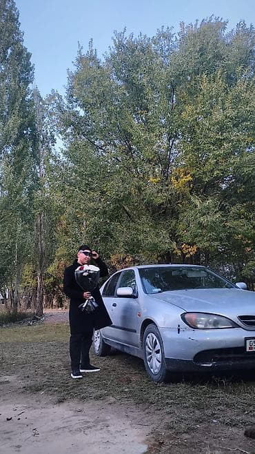 обмен с моей доплатой: Nissan Primera: 2001 г., 1.8 л, Механика, Бензин, Хэтчбэк — 4
