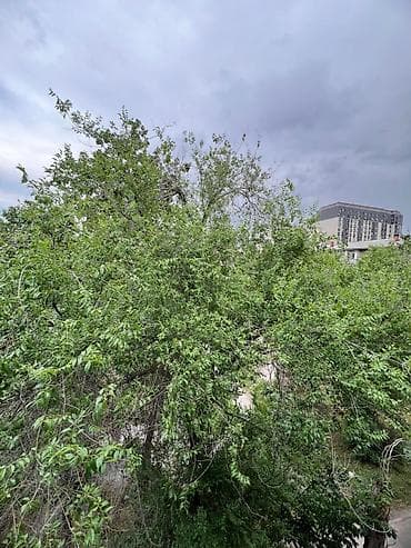 кв город балыкчы: 1 комната, 35 м², Индивидуалка, 4 этаж — 10