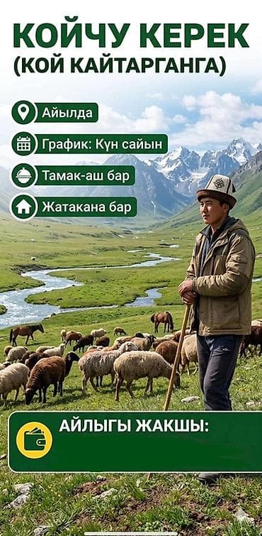вакансии для детей: Вакансия: пастух (пасти овец) - Место: в аиле (сельская местность — 1