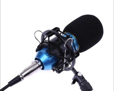 микрофон игровой: Микрофон BM800, бюджетный микрофон с пантографом. BM800 отличный — 1