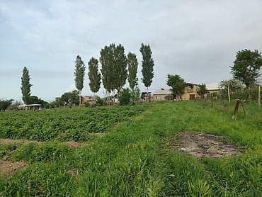 Продажа участков: 150 соток, Для бизнеса, Тех паспорт — 3