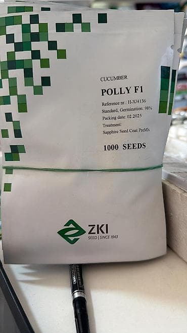 Уголь: Семена овощей: Огурцы — 1