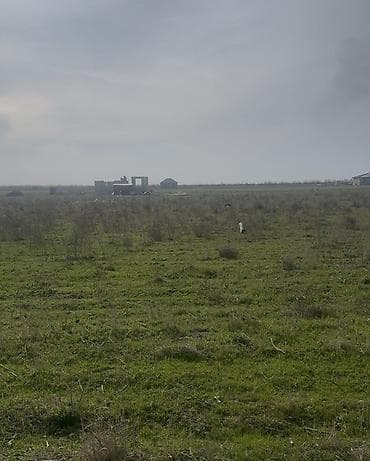 продажа участков ош: 4 соток, Для строительства, Красная книга — 1