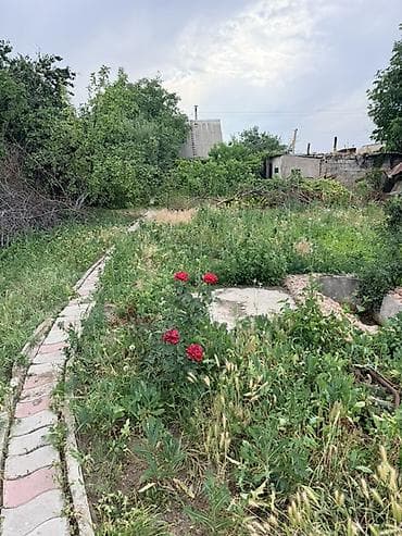 жм восток: Продаётся дачный участок с кирпичным домиком и ухоженным огородом — 10