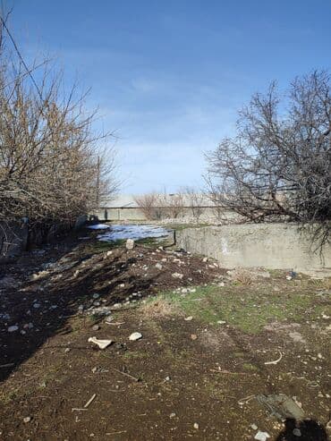 дом на иссык куле купить: 65 соток, Для бизнеса, Красная книга, Тех паспорт, Договор купли-продажи — 5