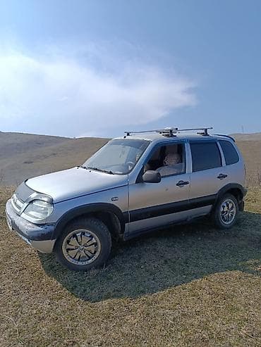 ниваа: Chevrolet Niva: 2006 г., 0.7 л, Ручные, Бензин, Кроссовер — 7