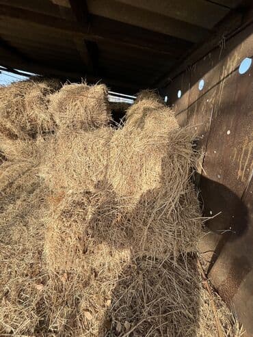 бал мёд: Сено в тюках 24штук, беде тюк. Описание: - Прессованный тюк — 2