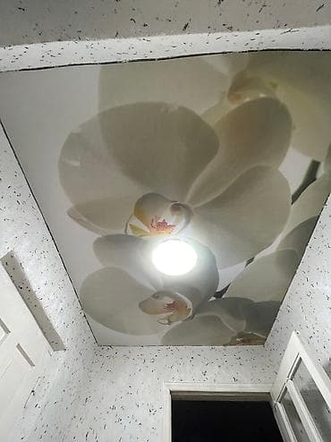 Керме шыптар: Керме шыптар Жылтырак, Жылтырабаган, 3D потолоктор Кепилдиги, Акысыз консультация, Акысыз ченөө — 5