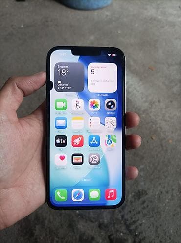 oled: IPhone 13 Pro, Б/у, 256 ГБ, Sierra Blue, Чехол, 100 % — 1