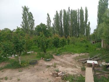 дом за 20000 долларов: Дом, 1500 м², 5 комнат, Собственник — 8